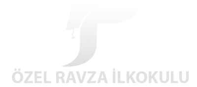 Ravza İlkokulu